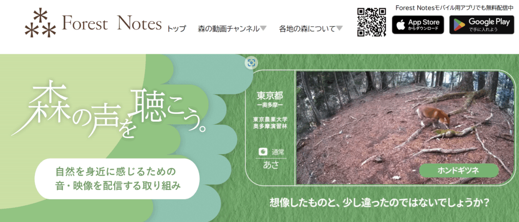 Forest Notesホームページ画像